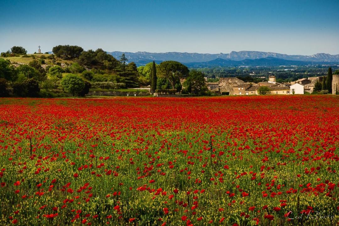 Cabrières-dʼAvignon Villa Provencale Face Au Luberon מראה חיצוני תמונה